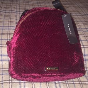 Tahari Backpack